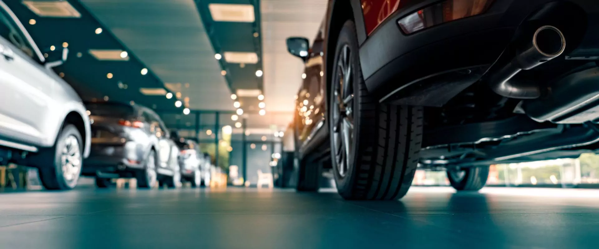 Premium Auto Shopping