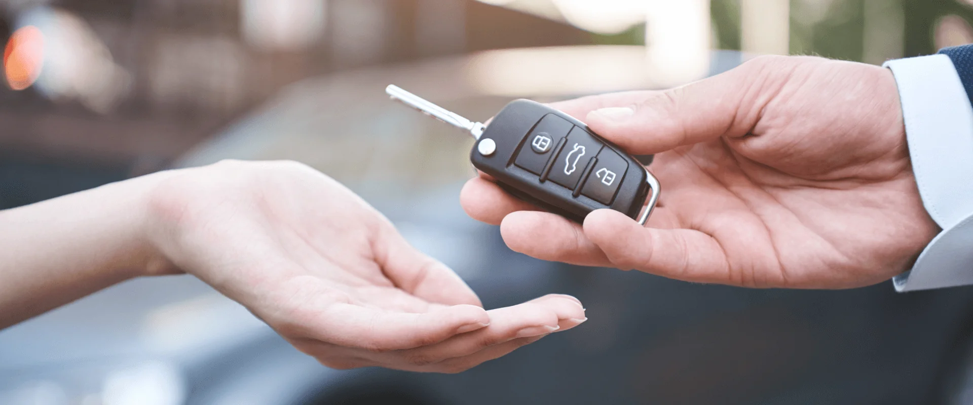 Fiat Amazonas banner