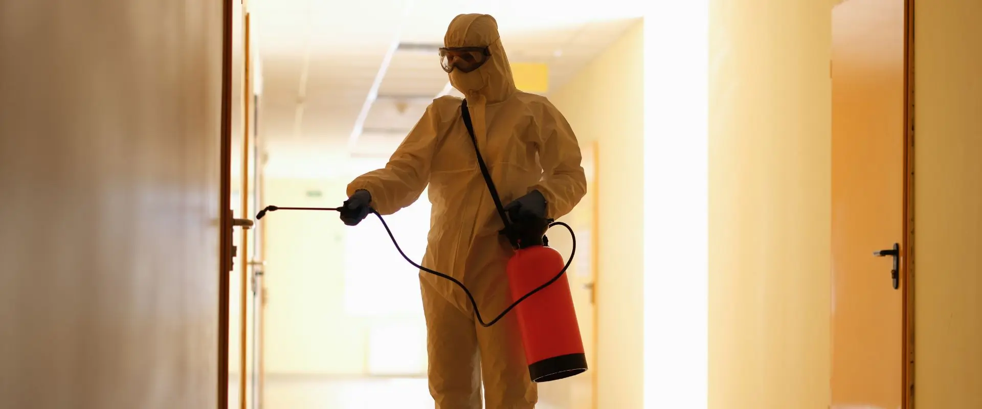 LS Dedetização e Desentupimento